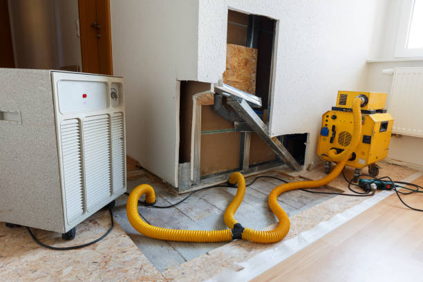 Best Biohazard Mold Removal  in Seaside Heights, NJ