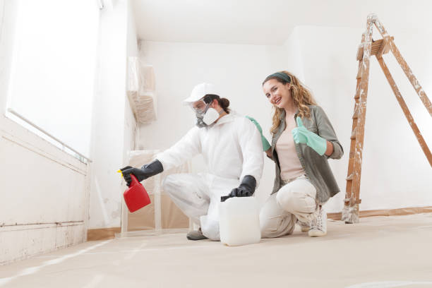 Best Water Damage & Mold Remediation  in Seaside Heights, NJ