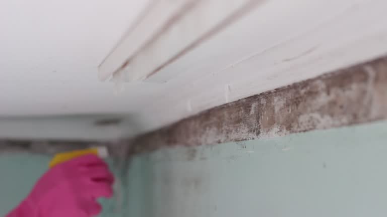 Best Airborne Mold Testing  in Seaside Heights, NJ